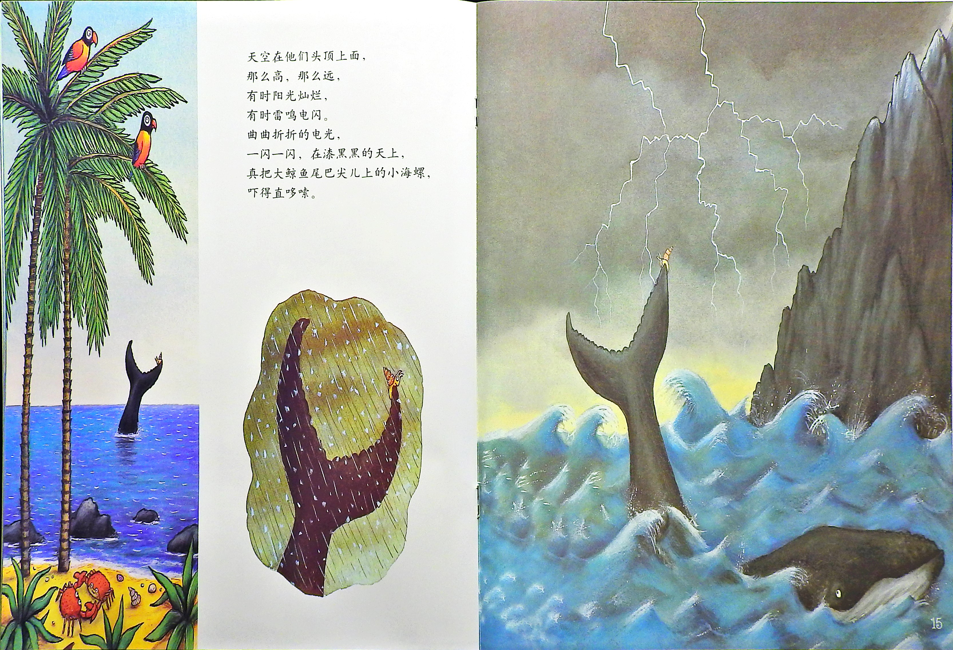 小海螺和大鲸鱼 (10),绘本,绘本故事,绘本阅读,故事书,童书,图画书,课外阅读